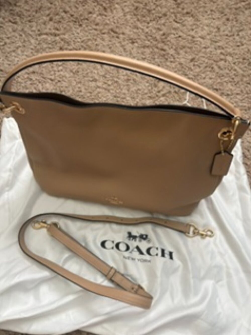 COACH Women's Polished Pebble Leather Clarkson Hobo Li/Beechwood One Size